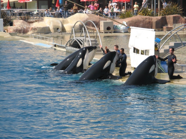 Promenade au marineland d'antibes Nice0310