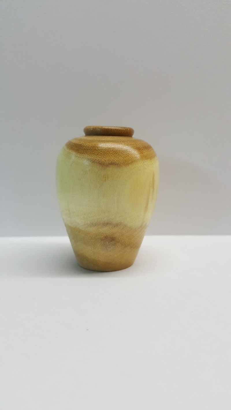  vase ( pas celle de la marre) 20160119