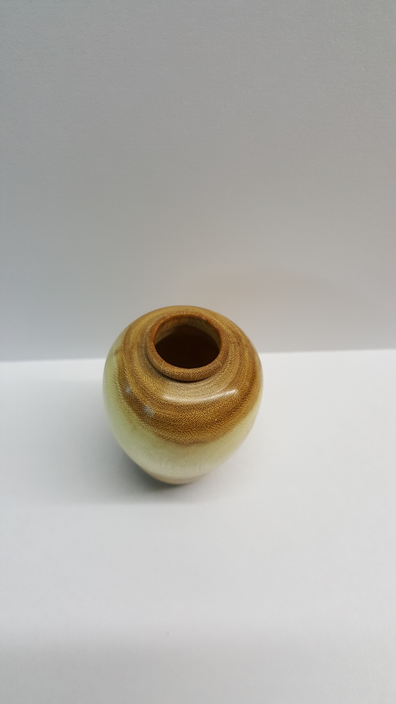 vase ( pas celle de la marre) 20160120