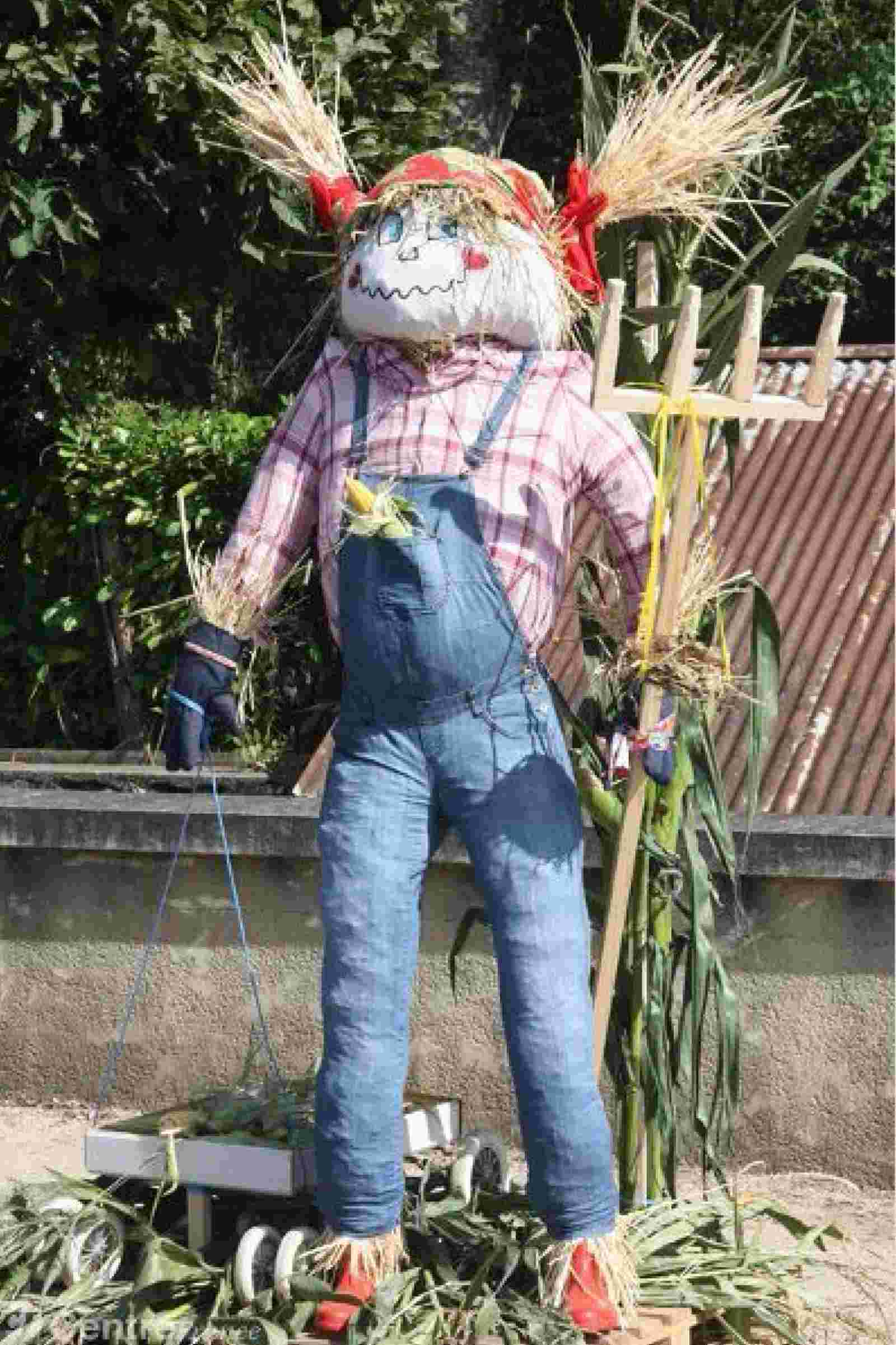 Corsos fleuris, défilés, cavalcades, chars et tracteurs décorés Comice12