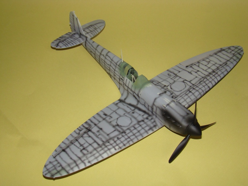 Spitfire Mk. IIa Revell 1/32 [Loic]  - Page 4 Dsc01225