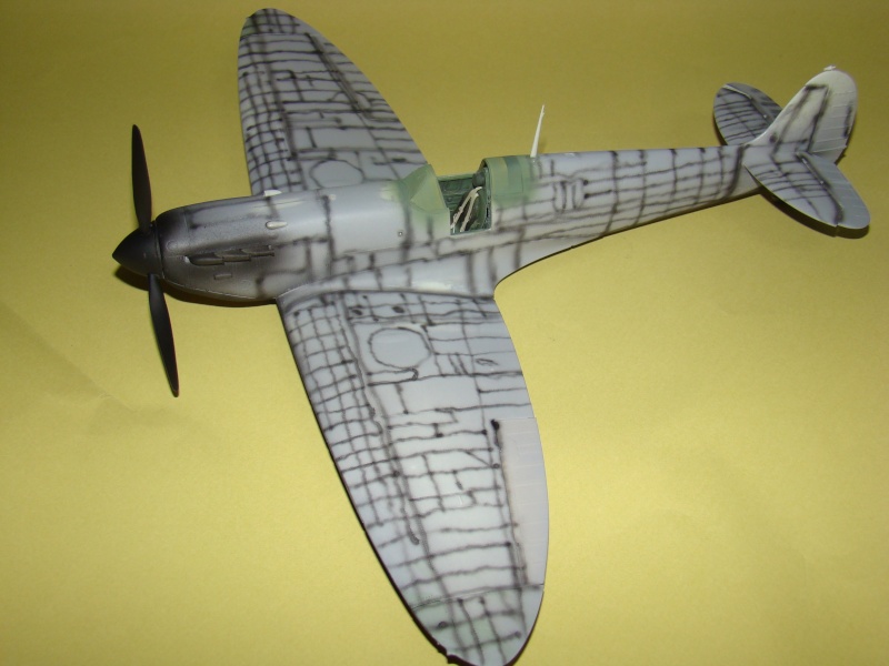 Spitfire Mk. IIa Revell 1/32 [Loic]  - Page 4 Dsc01227