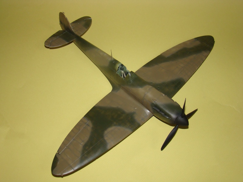 Spitfire Mk. IIa Revell 1/32 [Loic]  - Page 4 Dsc01319