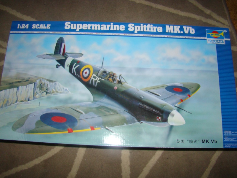 Spitfire Mk .Vb  "Donald Duck" du 303 Sqn Dsc01412