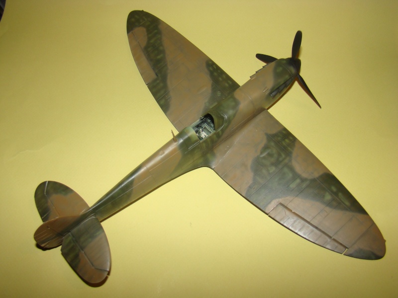 Spitfire Mk. IIa Revell 1/32 [Loic]  - Page 5 Dsc01433