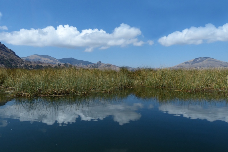 Le Pérou (part 4 - Le lac Titikaka) P1100210