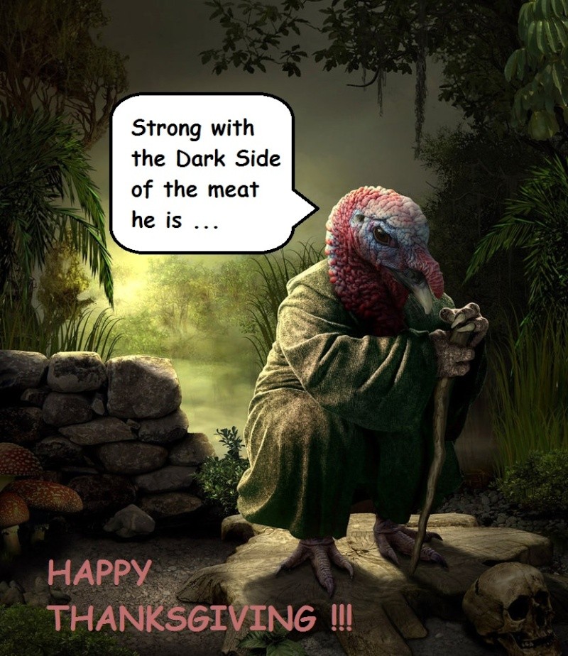 Happy thanksgiving Yoda_t10