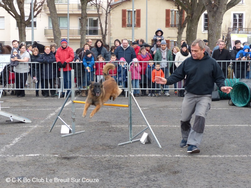 Foire de la Ste Paule 30 janvier 2016. Foire-12