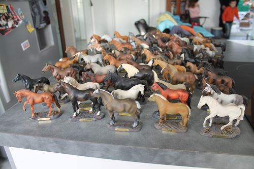 Collection complète la grande parade des chevaux _copie10