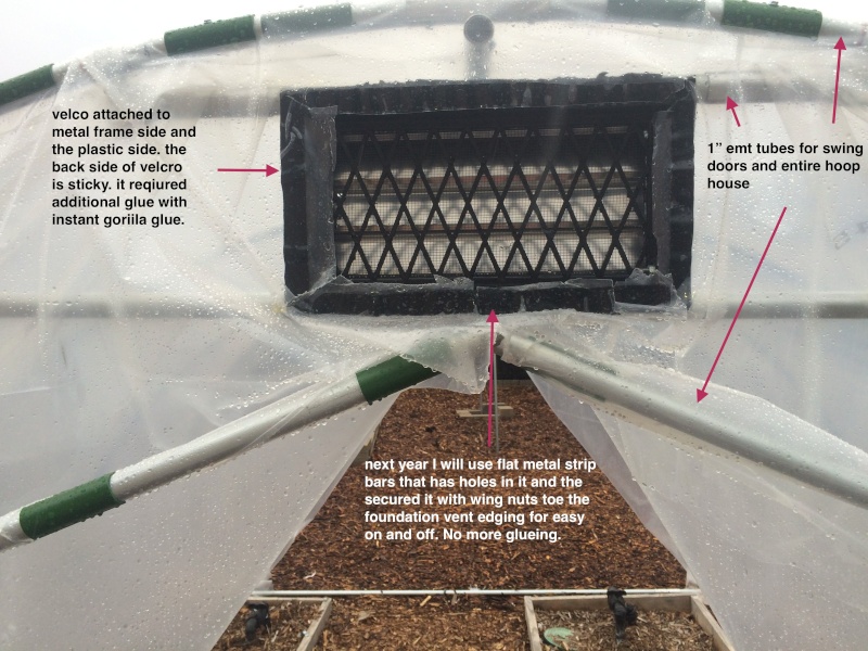 greenhouse -  The Winter Journey and greenhouse plastic  - Page 11 Img_1526