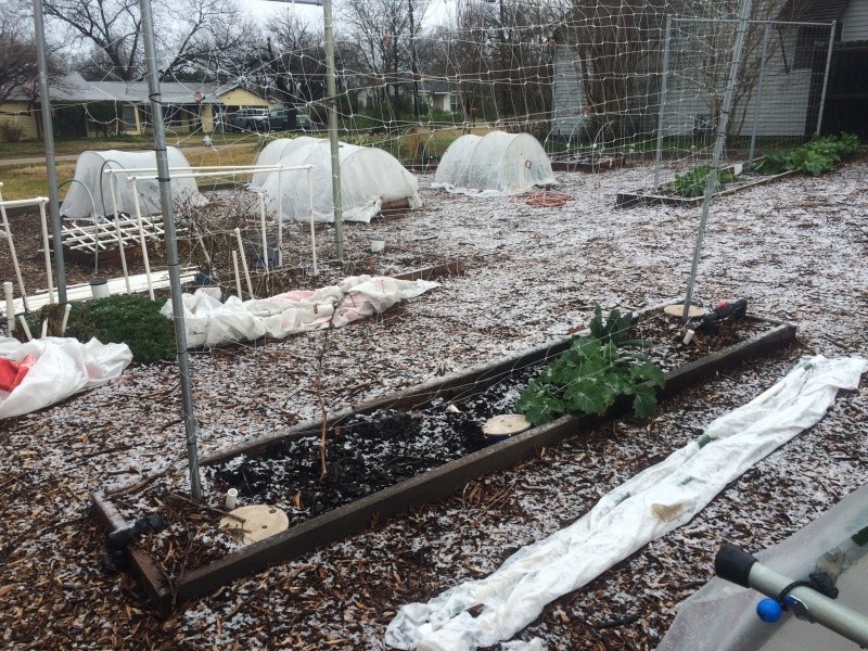 The Winter Journey and greenhouse plastic - Page 11 Img_1611