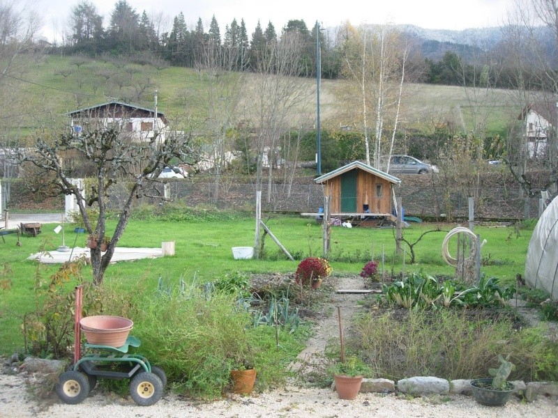 LE MIMOSA EN FLEUR DEUX FOIS DANS L ANNEE 2004-014