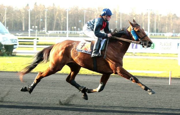 Vincennes-Quinté -Concours - Prix  de Cornulier- Dimanche 24/01/16 52756d10