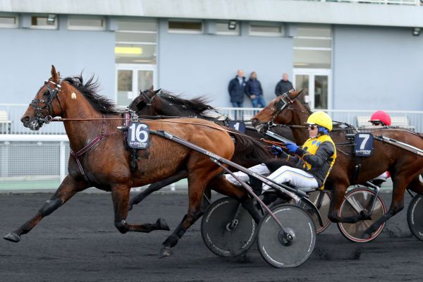 Vincennes -Concours - Prix de Croix - Samedi 16/01/16 6d9b0210