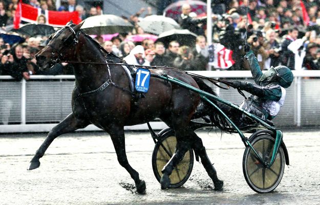 Vincennes- Quinté-Concours -Prix d' Amerique- Dimanche 31/01/16 6efd5411