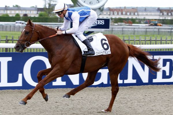 Cagnes-sur-Mer - Quinté"- Prix du Languedoc - Lundi 25/01/16  8bfdf410