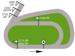 Vincennes-Quinté- Concours - Prix de Belgique- Dimanche 17/01/16 Vincen35