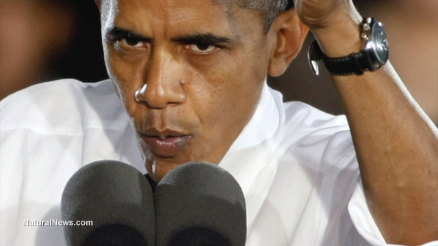 THE 10 WAYS OBAMA HAS ACTIVELY SOUGHT TO DESTROY AMERICA Editor11