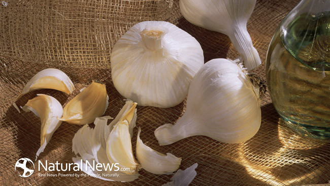 12 INGREDIENTS TO KEEP IN STOCK TO MAKE POTENT NATURAL REMEDIES THAT ANNIHILATE GERMS Garlic12