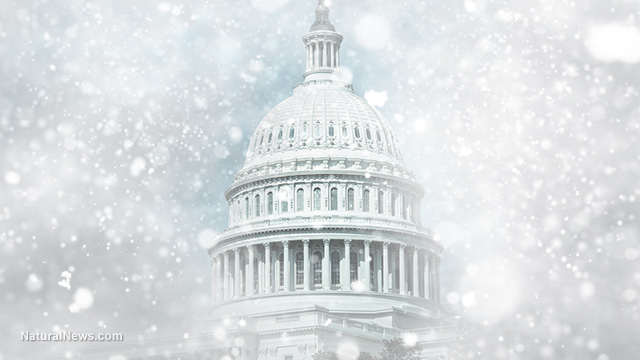 NOAA WARNS CLUELESS WASHINGTON D.C. RESIDENTS TO CARRY WINTER SURVIVAL KITS AS EPIC BLIZZARD APPROACHES Washin10