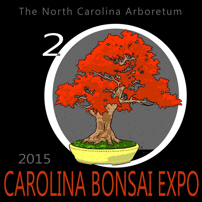 American Bonsai at the NC Arboretum - Page 29 2015_e10