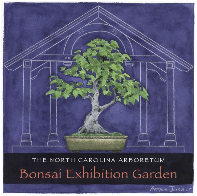 American Bonsai at the NC Arboretum - Page 29 Bonsai10