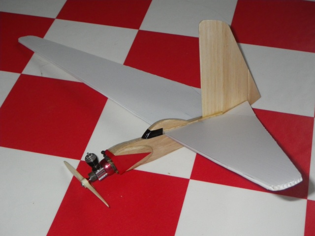 Flying wing free flight model Imgp8210