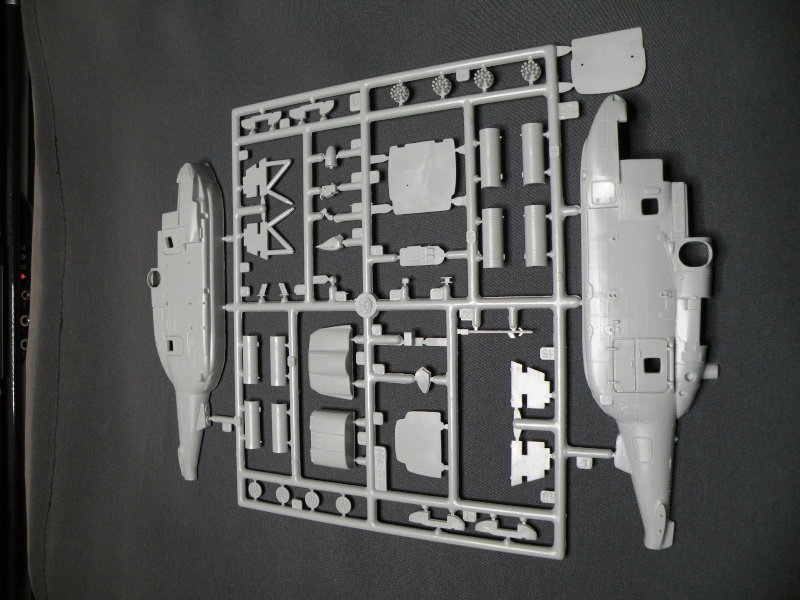 [Italeri/Zvezda] Kamov Ka-29 Helix-B Dscn7225