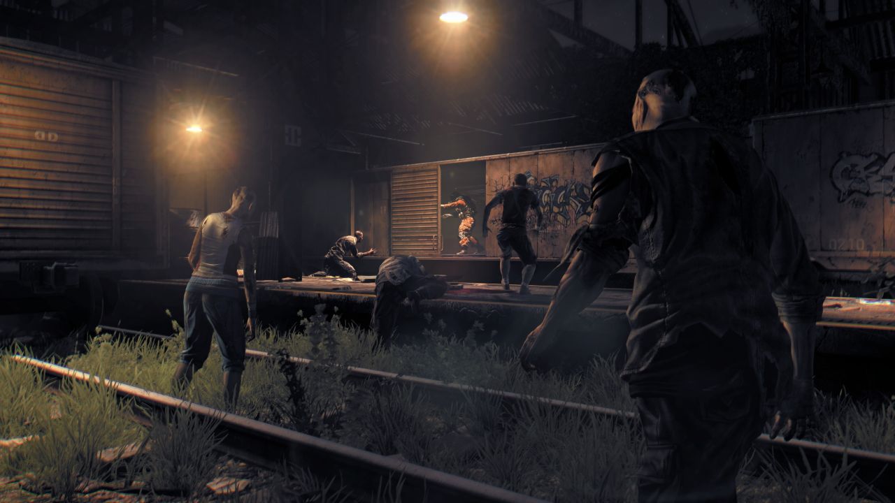 TEST - Dying Light : The Following 06045912