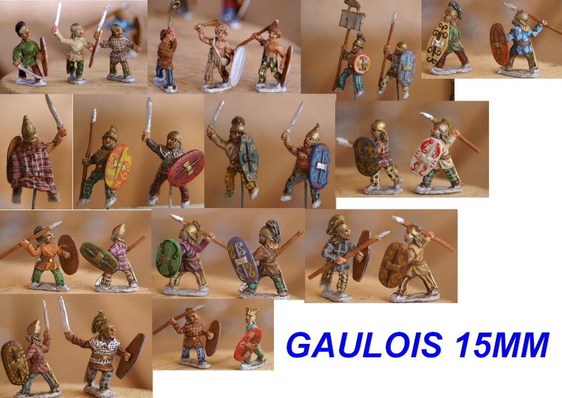 Quelques pieces de mon cru Gauloi11
