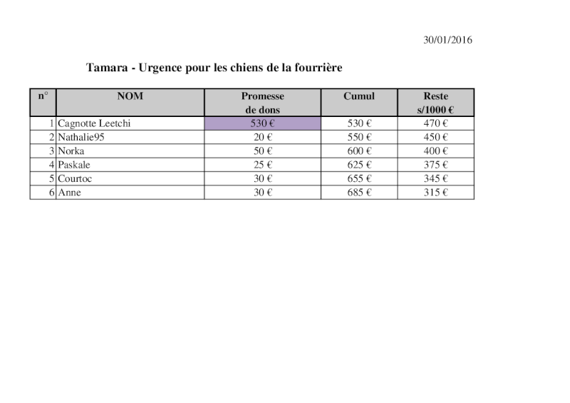 URGENCE VITALE - LES CHIENS COTE FOURRIERE (Tamara) ont plus que jamais besoin d'aide Tamara18