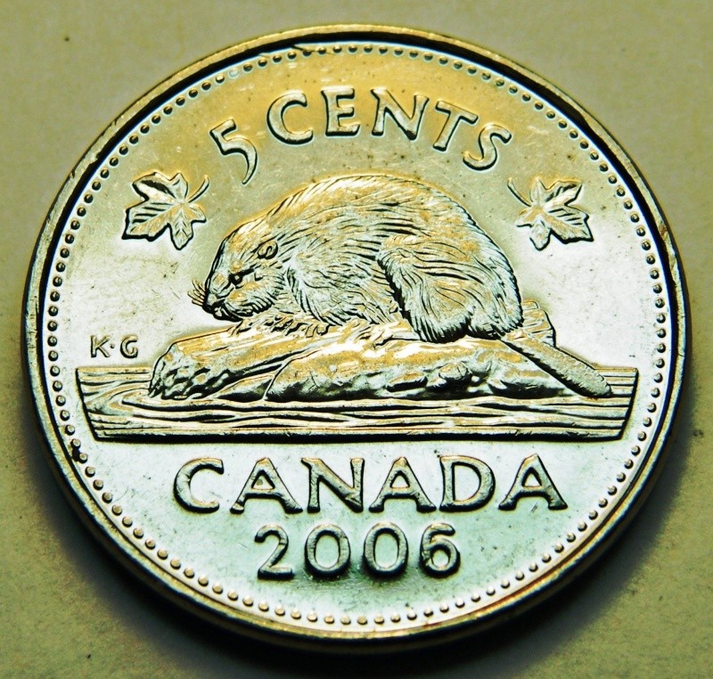 2006 - 2006 - Dommage au Coin "Spike" (Die Damage) Dscf1212