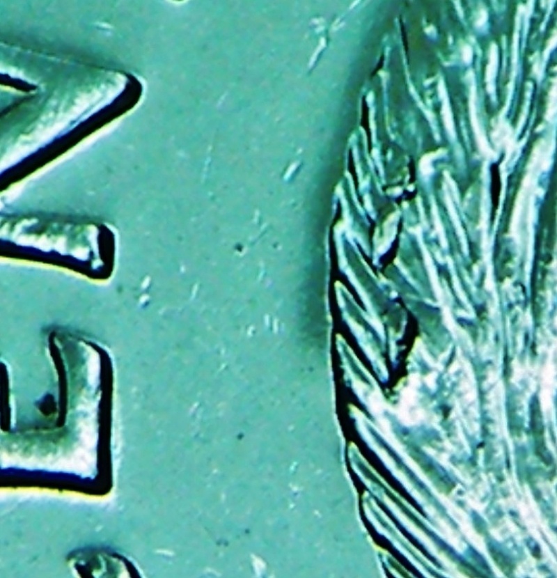 2008 - Éclat de Coin sur le Dos du Castor (Die Chip) Dscf4610