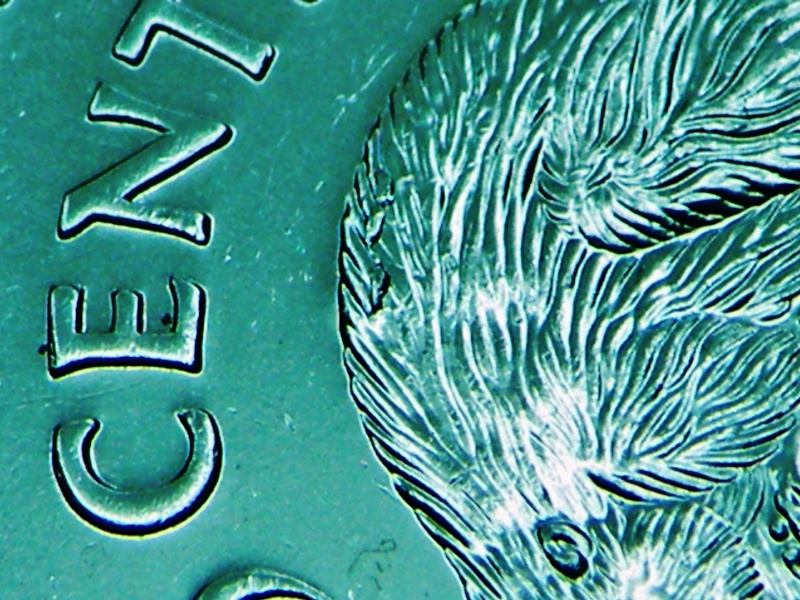 2008 - Éclat de Coin sur le Dos du Castor (Die Chip) Dscf4611