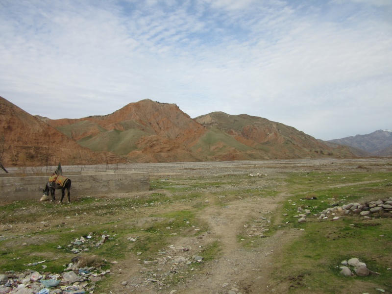 Chasse du Sangliers au Tadjikistan -1ere partie - Page 33 16010