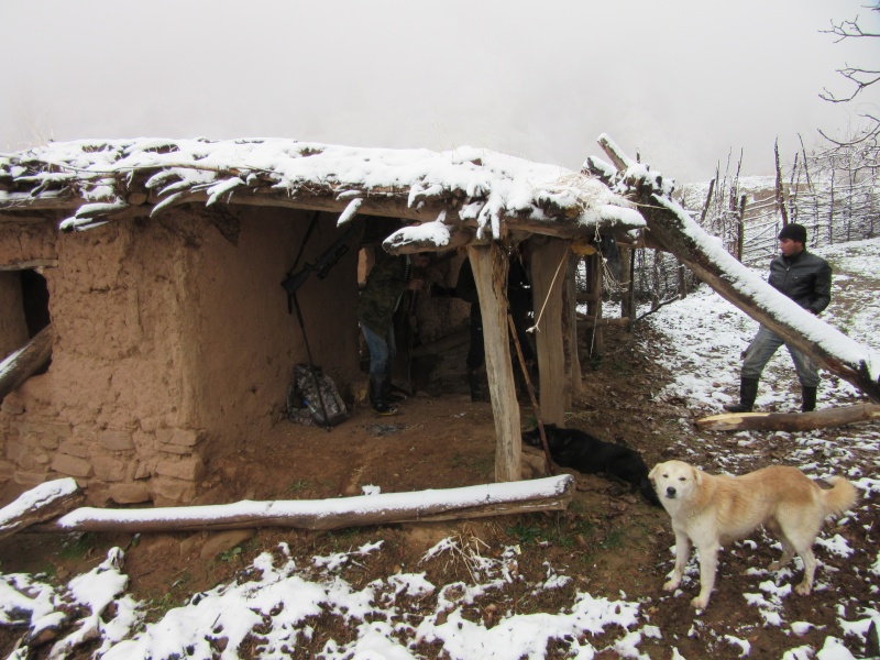 Chasse du Sangliers au Tadjikistan -1ere partie - Page 39 37510