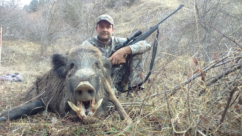 Chasse du Sangliers au Tadjikistan -1ere partie - Page 40 43910