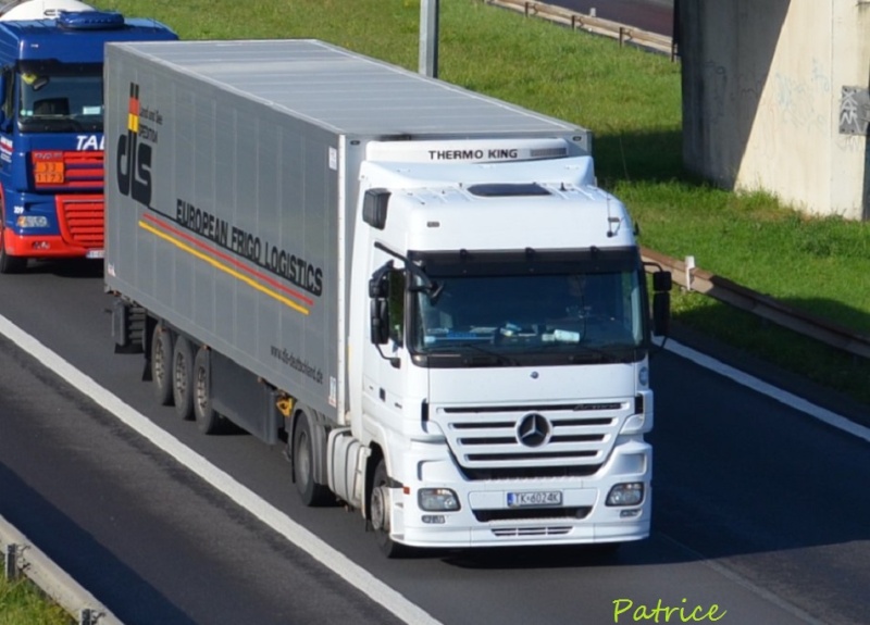  DLS  European Logistics  (Siek) 243p13