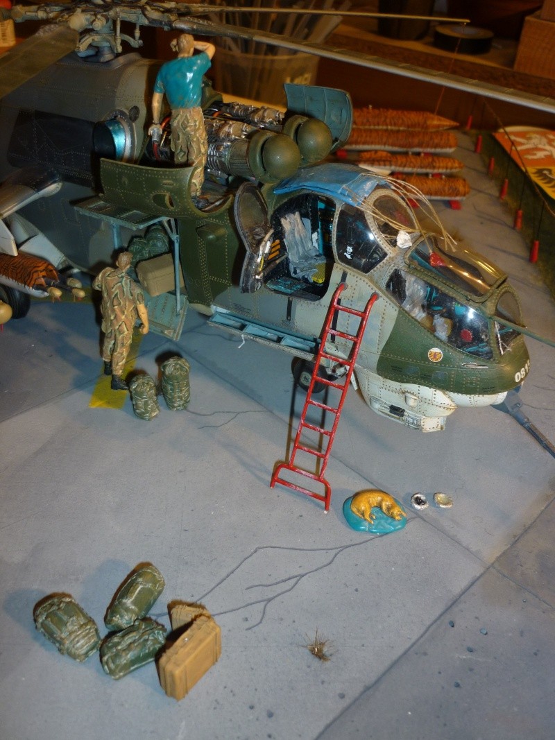 Meeting Tiger meet hélicoptère ; MIL MI 24 HIND E Trumpeter 1/35 et GAZ 66 Eastern Express -1/35 - Page 2 P1040910