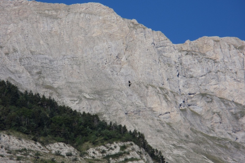 Vertigineuse échappée haut-alpine : de cols en balcons entre Dévoluy, Valgaudemar, Ecrins, Champsaur, et Haut Buëch. Img_8230