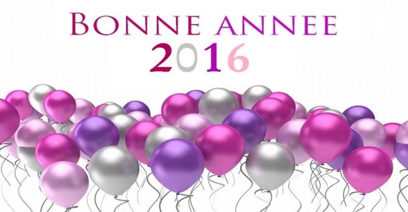 Nous sommes le 1er jour de l'année 2016 Image011