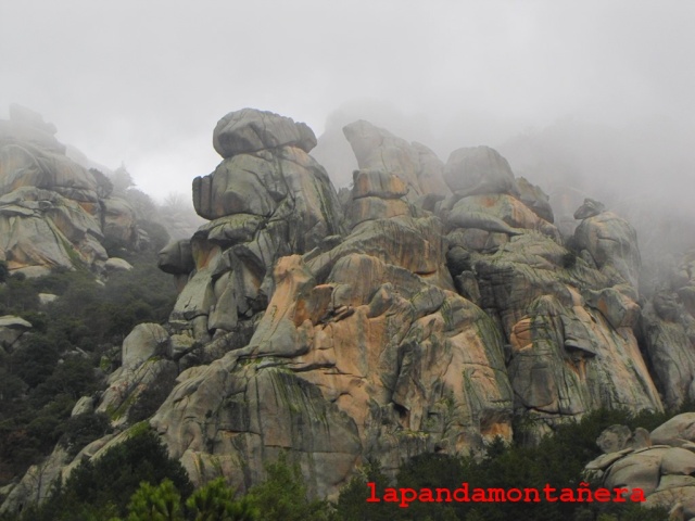 20160110 - LA PEDRIZA - UNA MAÑANA LLUVIOSA 00516