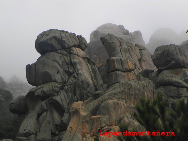 20160110 - LA PEDRIZA - UNA MAÑANA LLUVIOSA 02117