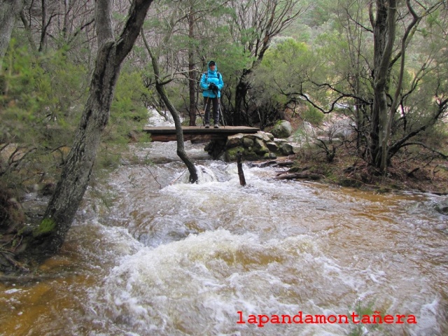 20160213 - LA PEDRIZA - EL RÍO MANZANARES DESBORDADO 02416