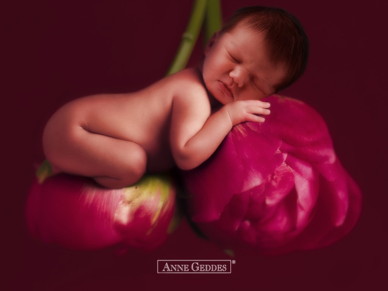 anne geddes  Anne-g10