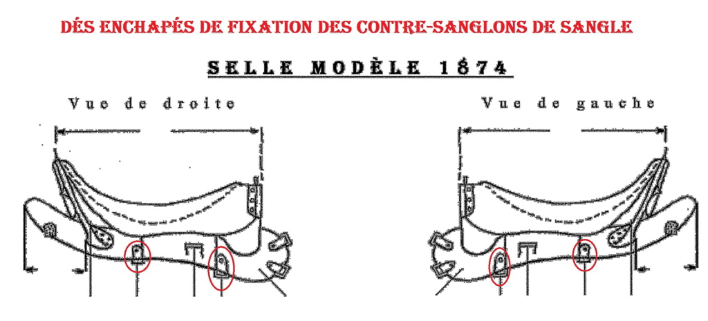 Identification des selles françaises 1874-114