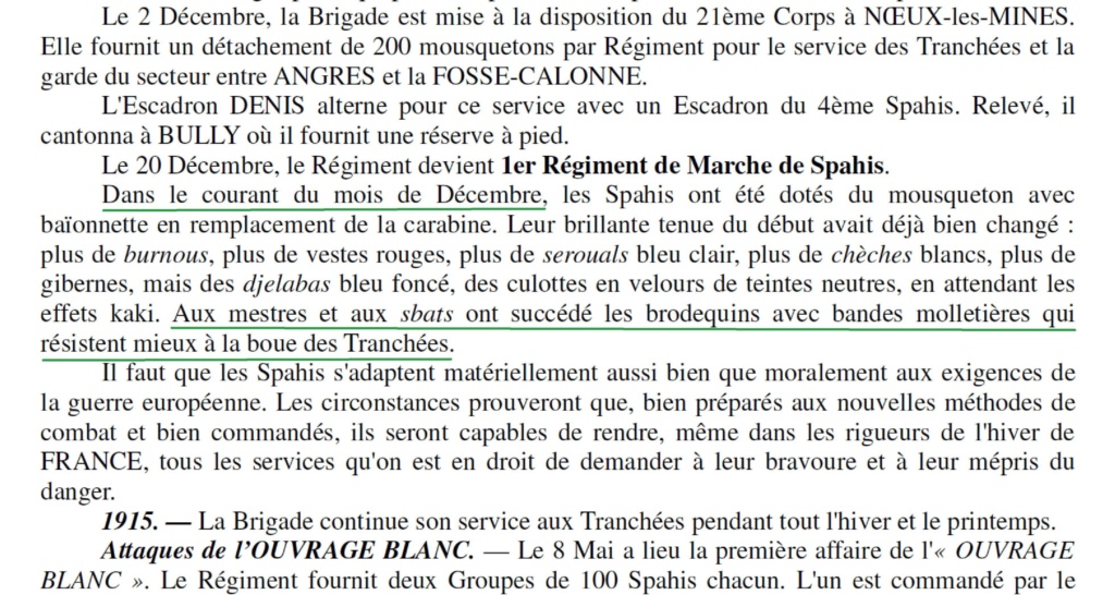 Dossier général : les spahis  - Page 5 1914-111