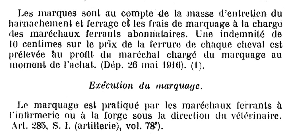 Marquage des chevaux appartenant à l'état 1917-510