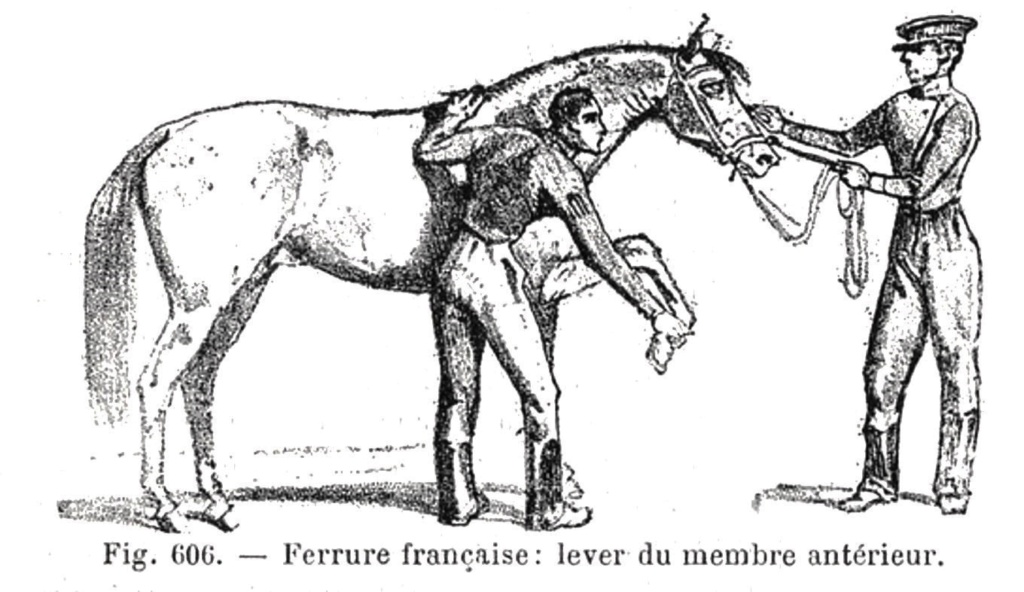 Sacoches et outils des maréchaux ferrants de l'armée (Cavalerie et artillerie)  - Page 4 606-c-10