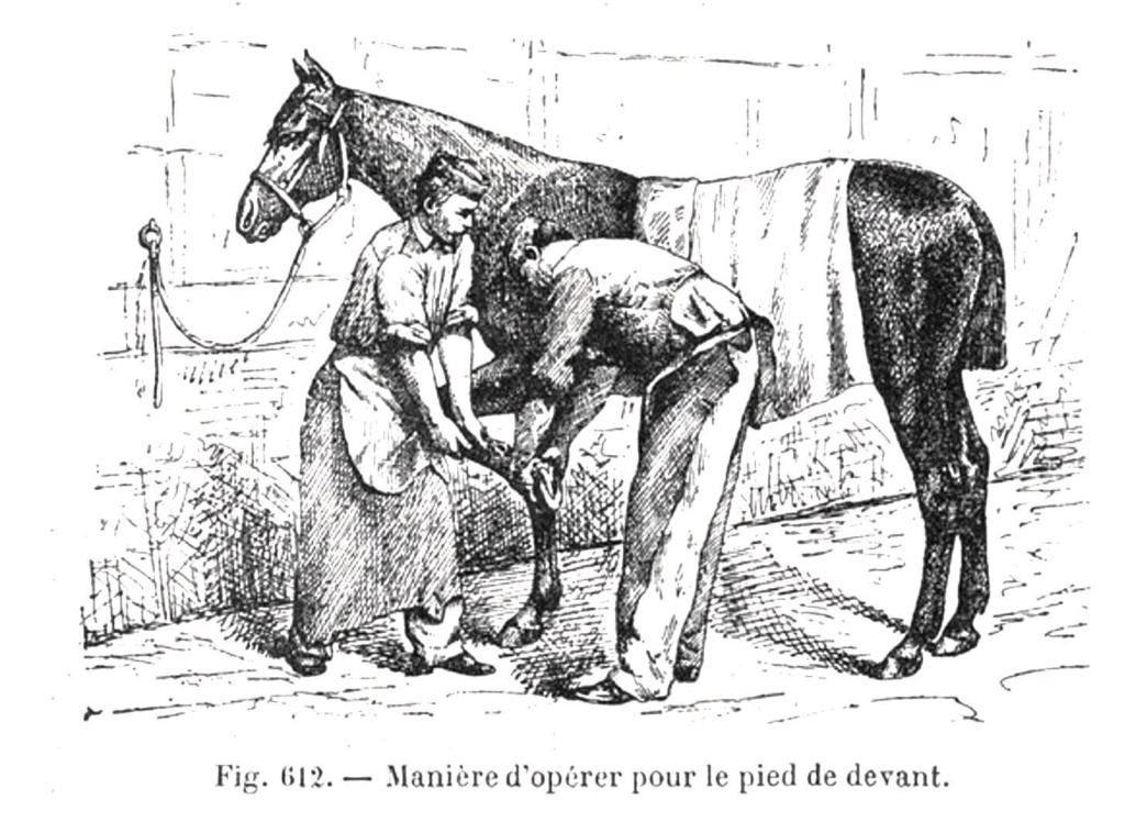 Sacoches et outils des maréchaux ferrants de l'armée (Cavalerie et artillerie)  - Page 4 612-c910